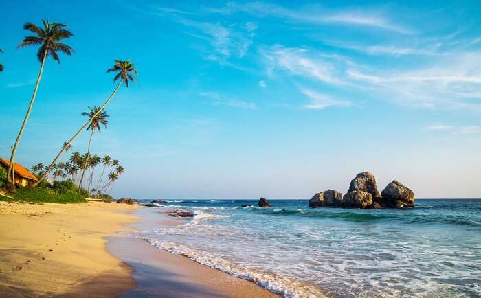 Sri Lanka Honeymoon Tour