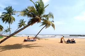 Negombo Starter Package